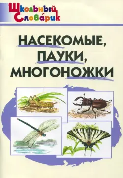 Насекомые, пауки, многоножки. Начальная школа