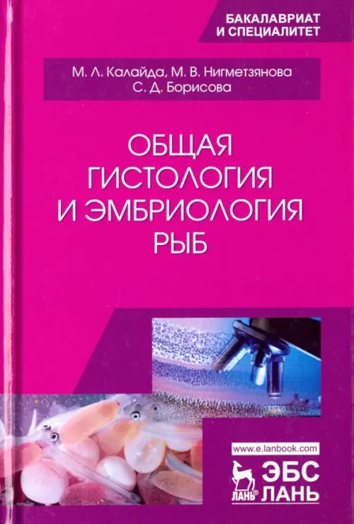 

Общая гистология и эмбриология рыб. Учебное пособие, Фиолетовый