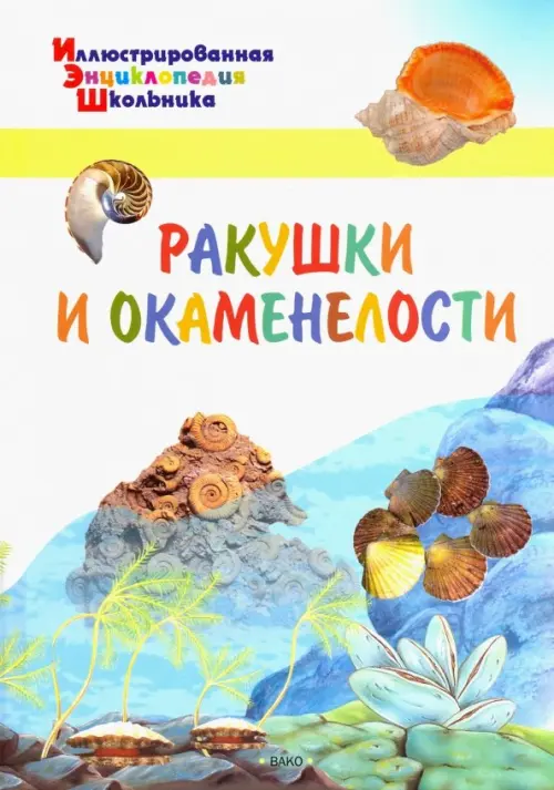 

Ракушки и окаменелости