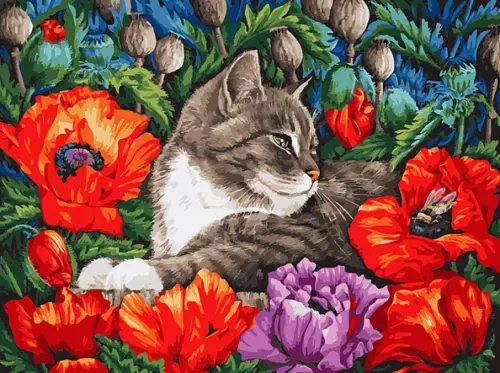 

Живопись на холсте. Кот в маках, 30x40 см, Мультиколор