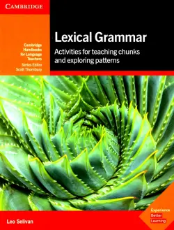 Lexical Grammar: Activities for Teaching Chunks and Exploring Patterns