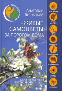 "Живые самоцветы" за порогом дома. Удивительные беспозвоночные