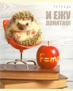 Тетрадь общая "Тайная жизнь ежей", А5, 48 листов, клетка