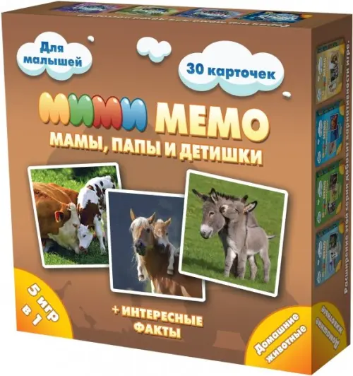 

Ми-Ми-Мемо. Домашние животные, Оранжевый