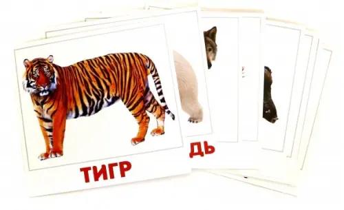 Комплект карточек 