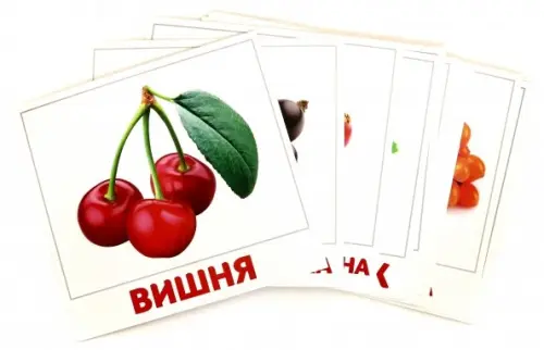 Комплект карточек 