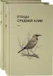 Миниатюра 1
