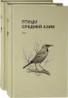 Миниатюра 2
