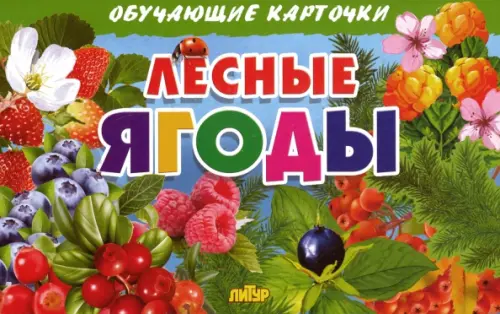 

Лесные ягоды. Обучающие карточки, Зелёный