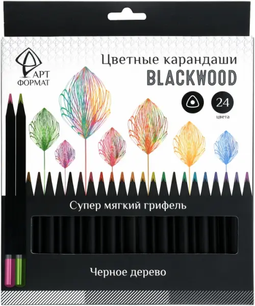 Набор карандашей Blackwood 24 цвета трехгранные 535₽