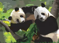 Картина по номерам с акриловыми красками. Панды, А3