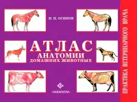 Атлас анатомии домашних животных