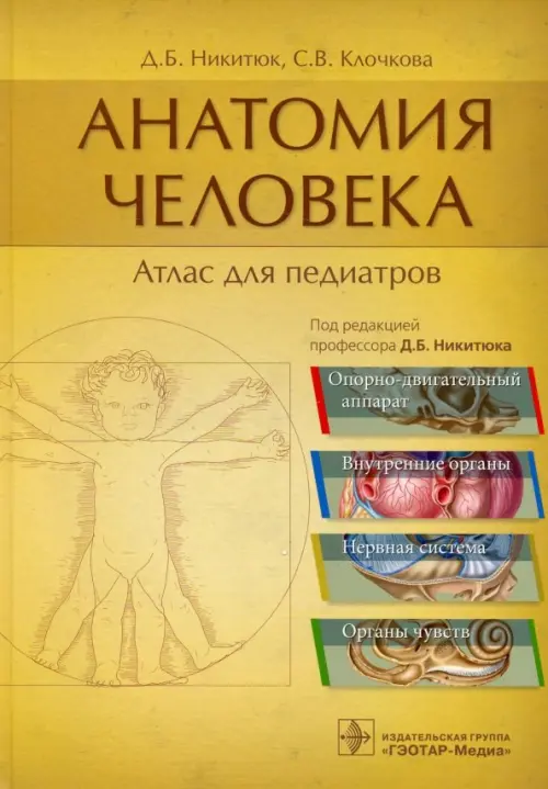 

Анатомия человека. Атлас для педиатров, Оранжевый