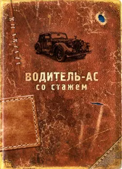 Обложка для автодокументов "Водитель-ас со стажем", пластик