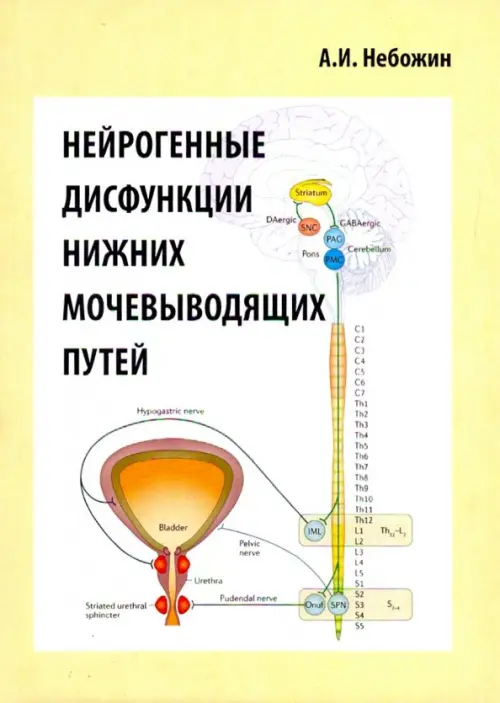 

Нейрогенные дисфункции нижних мочевыводящих путей, Жёлтый