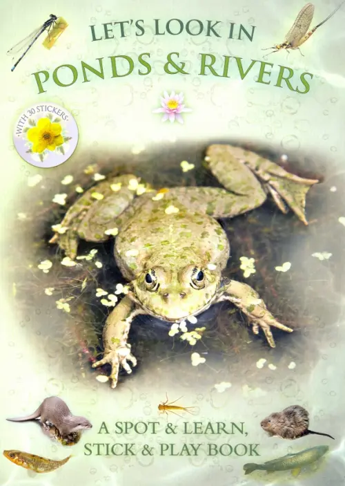 

Let's Look In Ponds & Rivers (+ 30 stickers), Зелёный