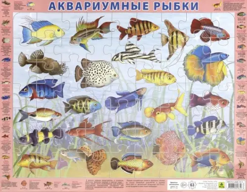 

Пазл. Аквариумные рыбки, 63 элемента, Разноцветный