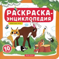 Животные леса. Книжка-раскраска