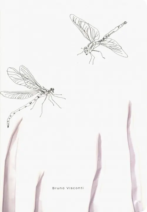

Тетрадь "Dragonfly", А5, 40 листов, клетка, Белый