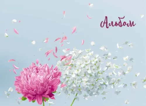 

Альбом для рисования. Астры, Серый