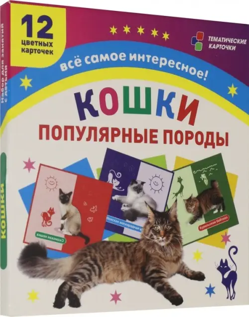 

Самые популярные породы кошек: 12 карточек с изображением. ФГОС. ФГОС ДО