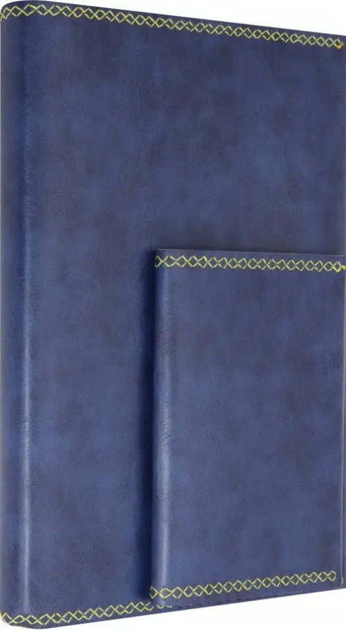 Ежедневник недатированный Баффало А5 160 листов темно-синий 1007₽