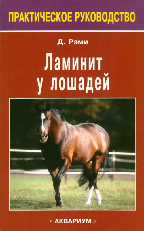 

Ламинит у лошадей, Красный