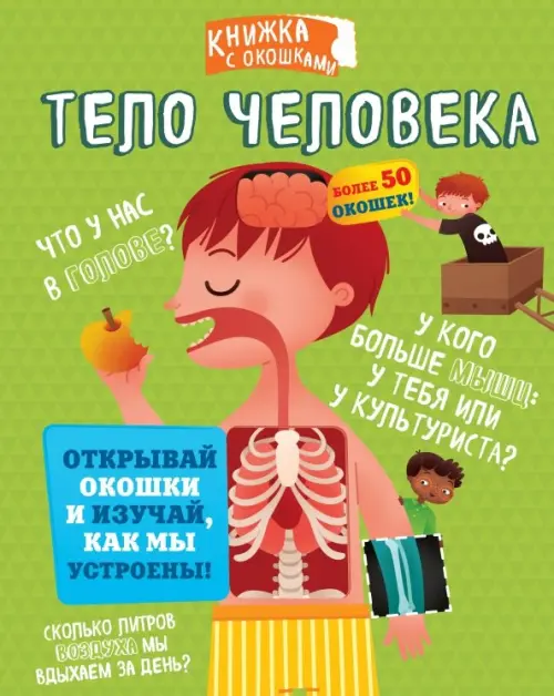

Тело человека, Зелёный