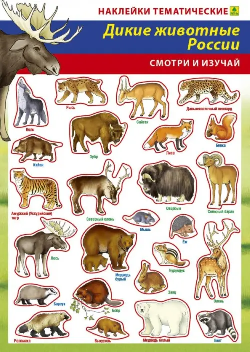 

Дикие животные России. Наклейки тематические, Мульти