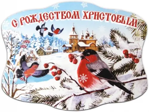

Магнит объемный "С Рождеством Христовым", 75х100 см, Разноцветный