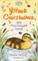Миниатюра 2