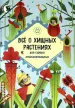Миниатюра 1
