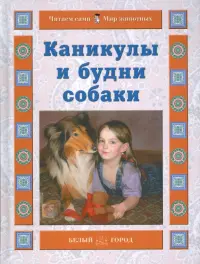 Каникулы и будни собаки