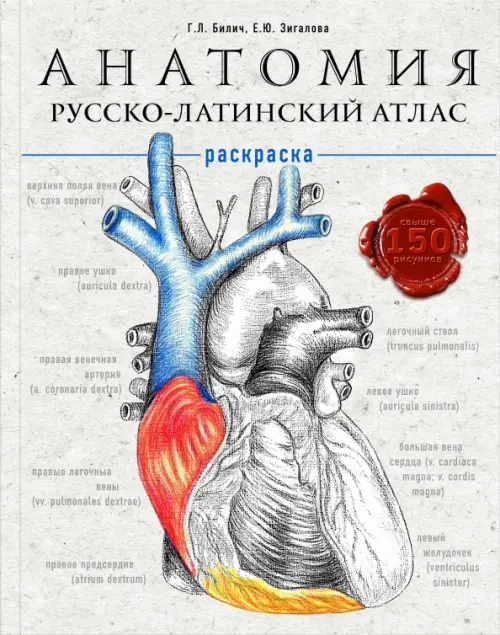 

Анатомия: русско-латинский атлас-раскраска, Белый