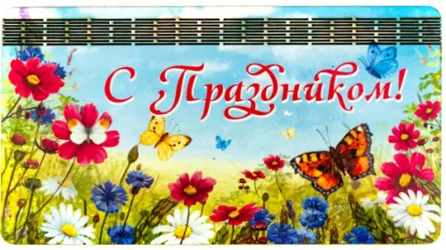 

Денежница 3-слойная. С Праздником. Бабочки, Разноцветный