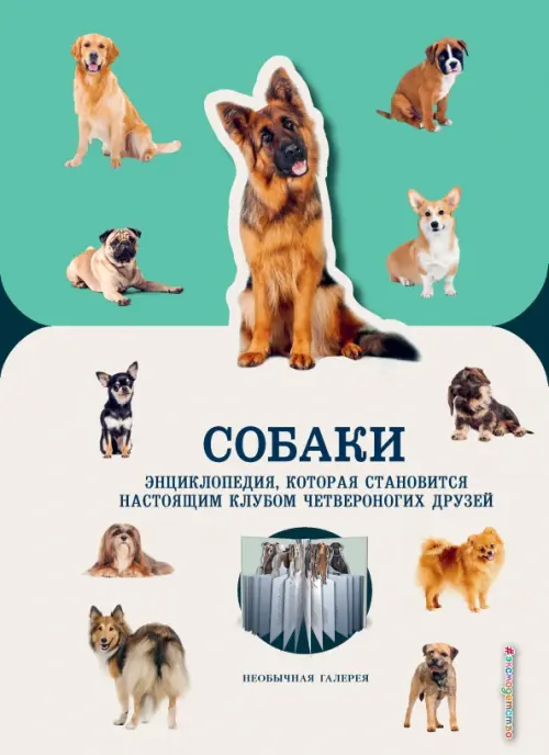 

Собаки