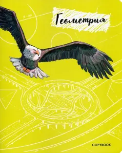 Тетрадь предметная Геометрия, A5+, 48 листов, клетка