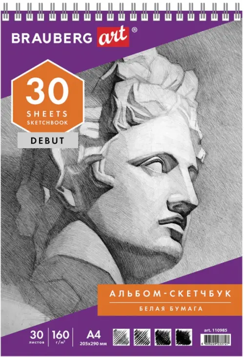 

Скетчбук "Brauberg Art. Debut", А4 (205х290 мм), 30 листов, Серый