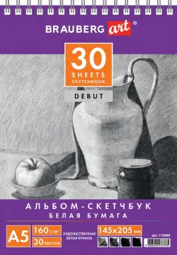Скетчбук "Brauberg Art. Debut", А5 (145x205 мм), 30 листов