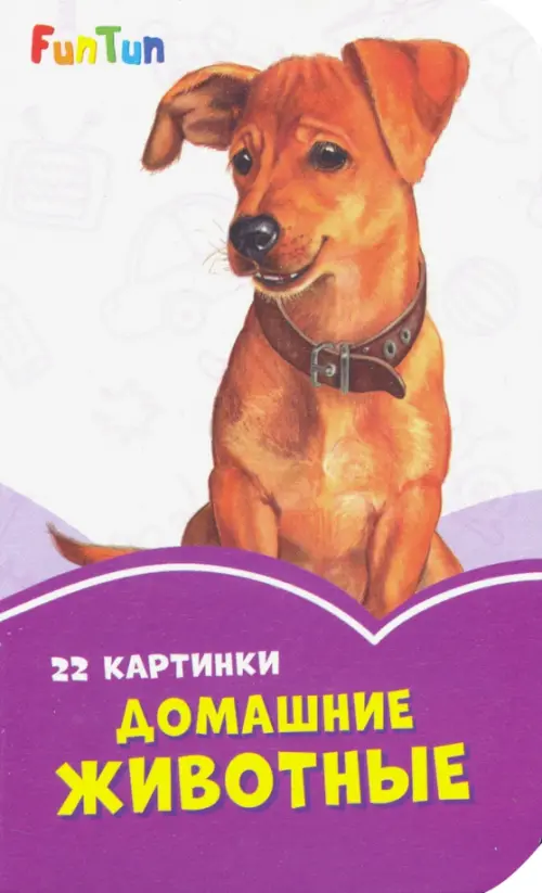 

Домашние животные, Фиолетовый