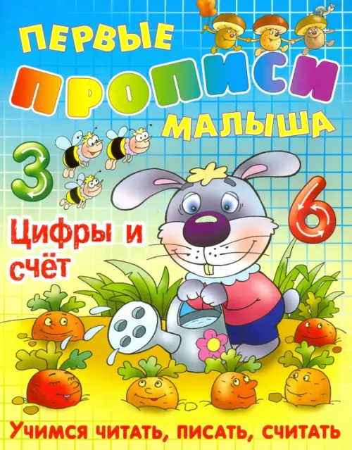 

Цифры и счет