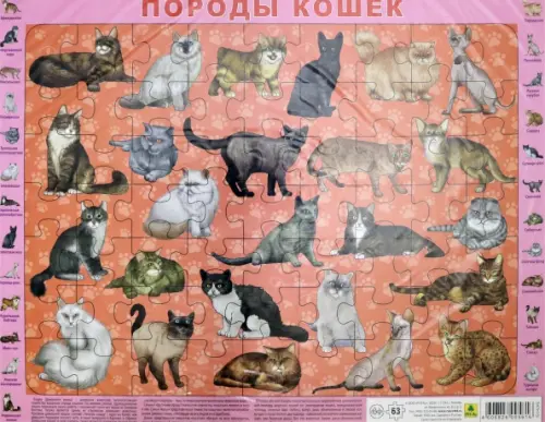 

Детский пазл на подложке. Породы кошек, 63 элемента, Красный