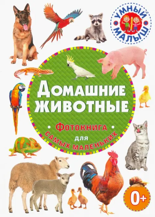 

Домашние животные. Фотокнига для самых маленьких, Белый