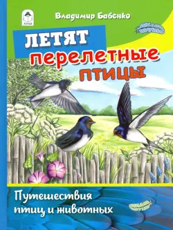 Летят перелётные птицы