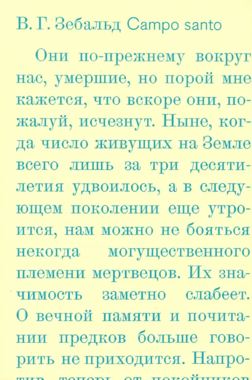 

Campo santo, Жёлтый