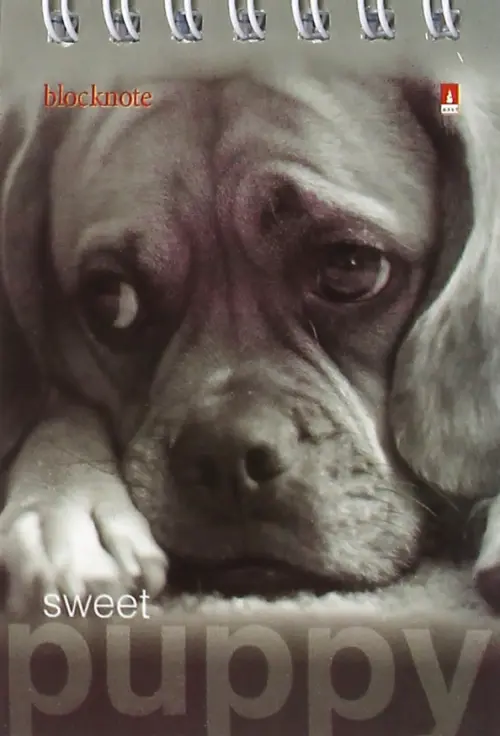 Блокнот Чудо-щеночки А7 40 листов клетка 17₽