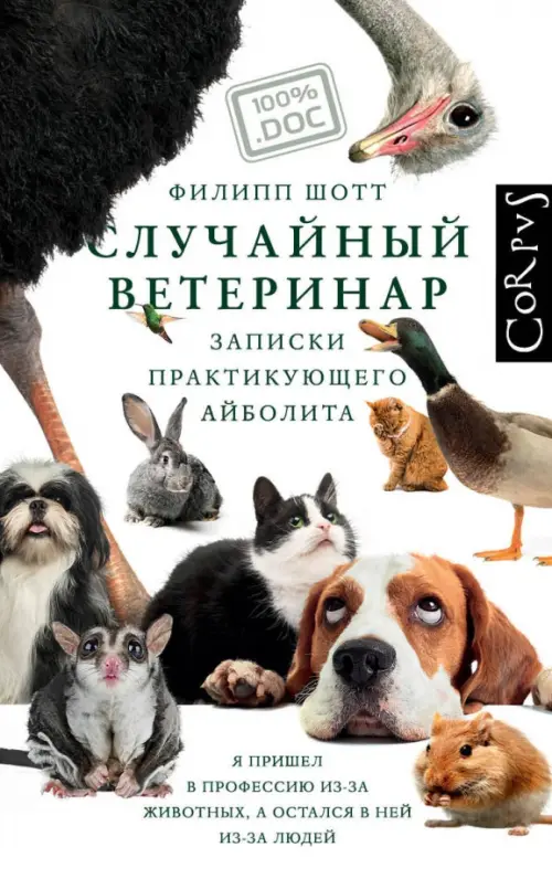 

Случайный ветеринар, Серый