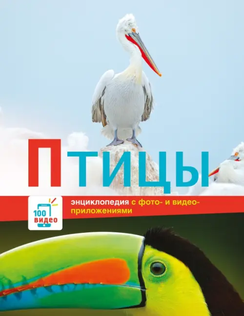 

Птицы