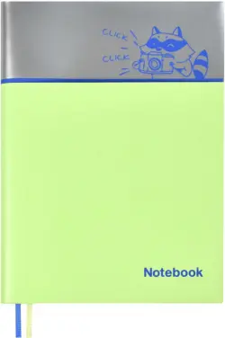 Записная книжка. Енот, A6+, 96 листов