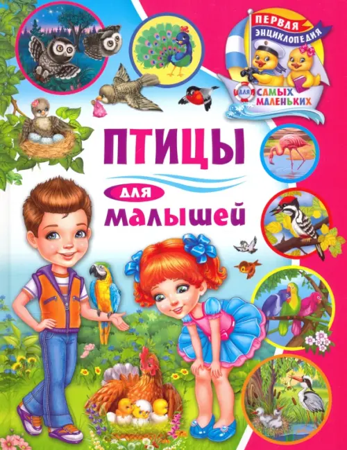 

Птицы для малышей